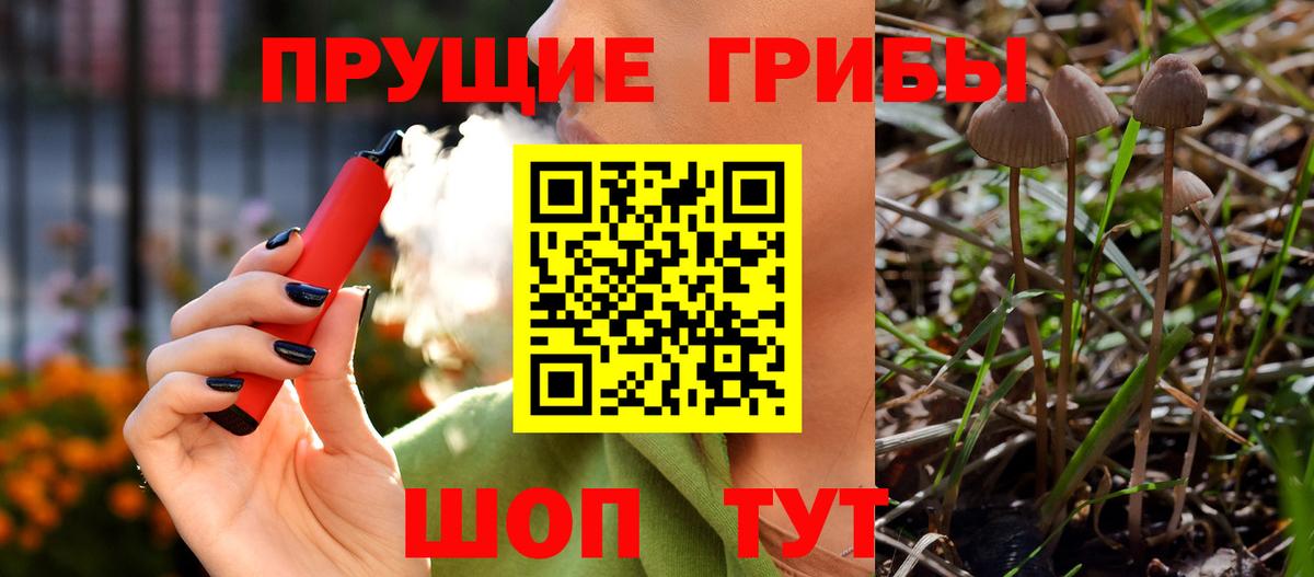 Псилоцибиновые грибы Magic Shrooms  Вход с VPN  что такое наркотик  Астрахань 
